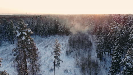 Aerial-footage-of-flying-between-beautiful-snowy-trees-in-the-middle-of-wilderness-in-Lapland-Finland.